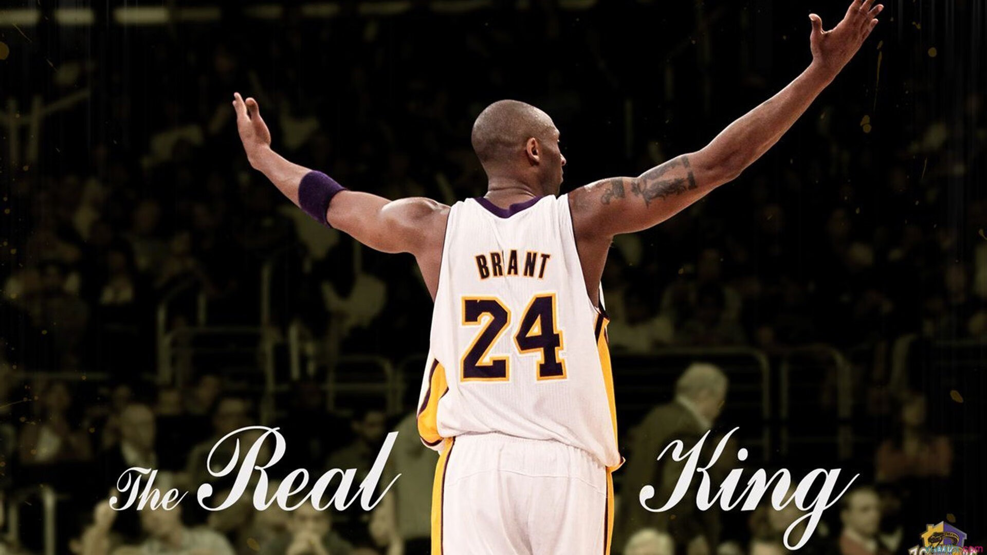 《国际合作：多国电竞联盟携手共赢》，国际电竞项目有哪些