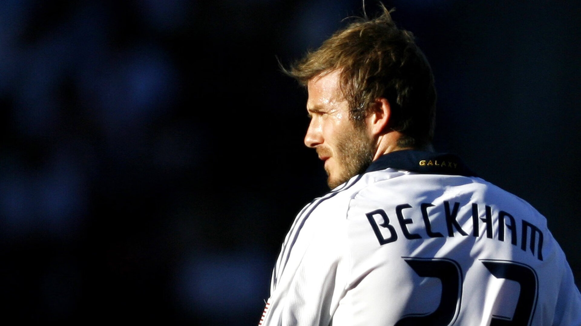 体育志愿服务标准化手册正式发布，体育志愿者服务活动内容